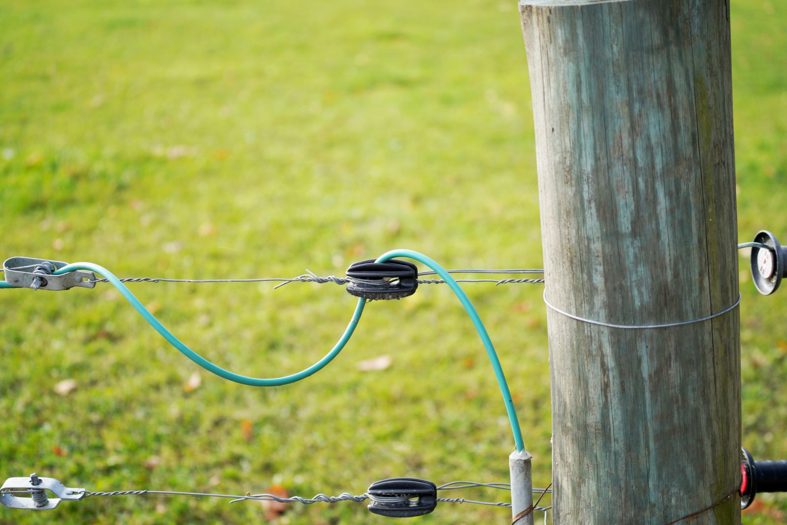 Electric fence line